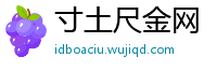 寸土尺金网